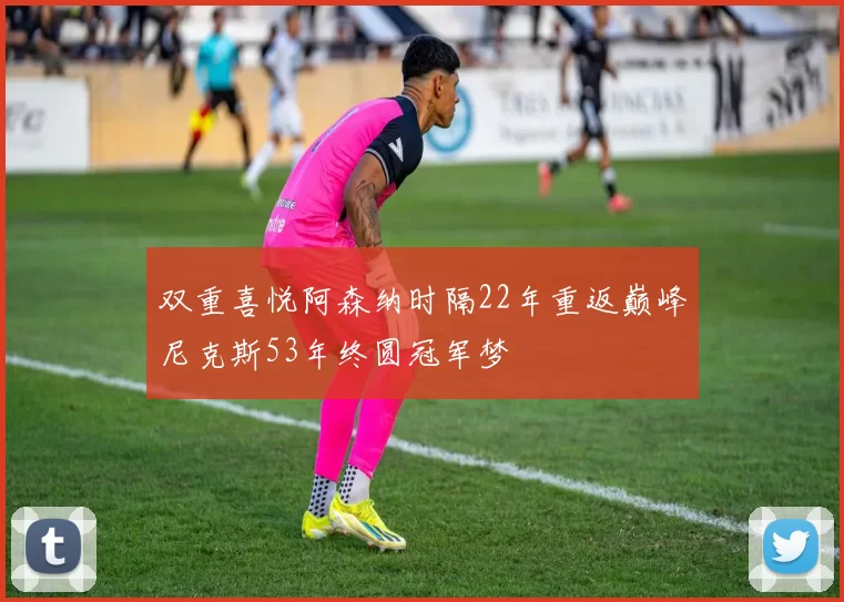 双重喜悦阿森纳时隔22年重返巅峰尼克斯53年终圆冠军梦